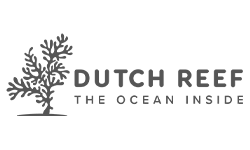 Dutch reef